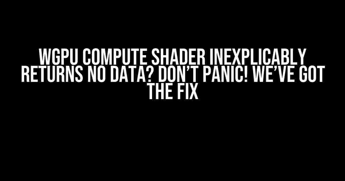 WGPU Compute Shader Inexplicably Returns No Data? Don’t Panic! We’ve Got the Fix